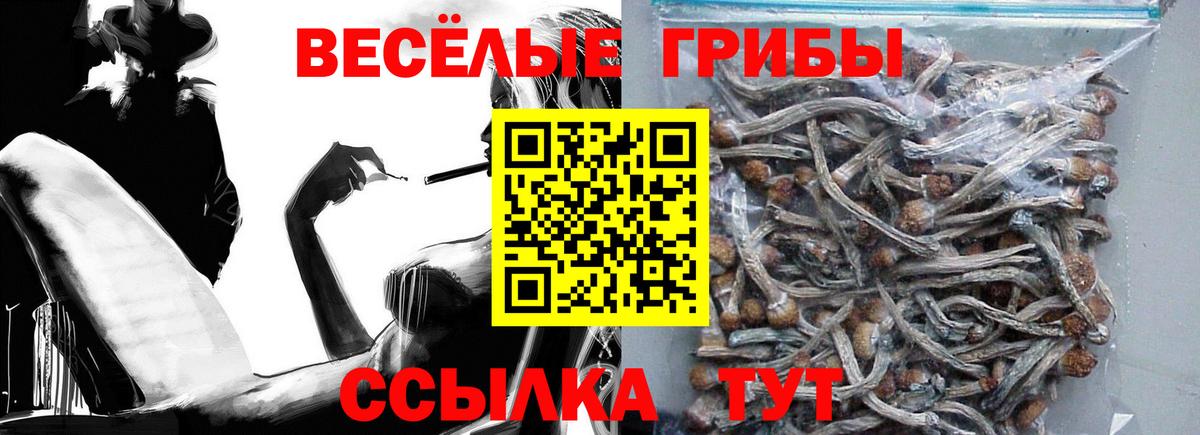 Долгопрудный  Псилоцибиновые грибы мухоморы  Псилоцибиновые грибы Magic Shrooms  Вход с VPN 