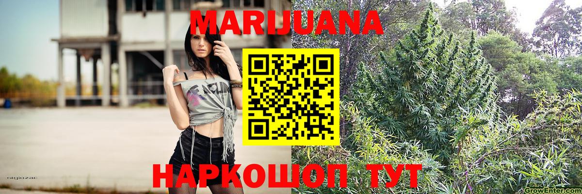 Бошки марихуана White Widow Долгопрудный
